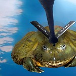 Air refuling of a giant flying stealth frog